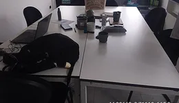 Aste giudiziarie mobiliari online - 1.0