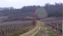 Aste giudiziarie immobiliari online - 7.0