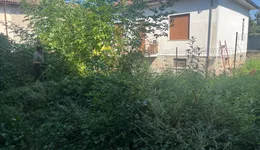 Aste giudiziarie immobiliari online - 10.0