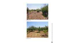 Aste giudiziarie immobiliari online - 5.0