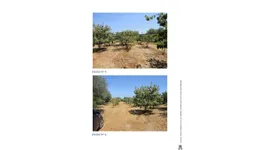 Aste giudiziarie immobiliari online - 6.0