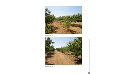 Aste giudiziarie immobiliari online - 7.0