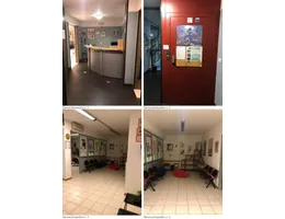 Aste giudiziarie immobiliari online - 7.0