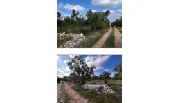 Aste giudiziarie immobiliari online - 7.0