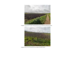 Aste giudiziarie immobiliari online - 3.0