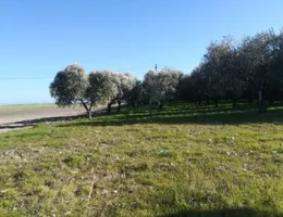 Aste giudiziarie immobiliari online - 6.0