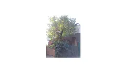 Aste giudiziarie immobiliari online - 11.0