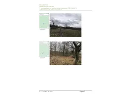 Aste giudiziarie immobiliari online - 6.0