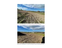 Aste giudiziarie immobiliari online - 10.0