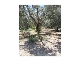 Aste giudiziarie immobiliari online - 5.0