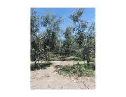 Aste giudiziarie immobiliari online - 6.0