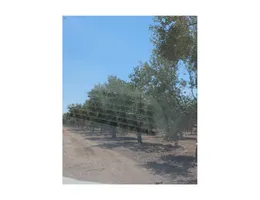 Aste giudiziarie immobiliari online - 8.0