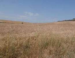Aste giudiziarie immobiliari online - 3.0