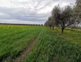 Aste giudiziarie immobiliari online - 9.0