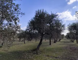 Aste giudiziarie immobiliari online - 10.0