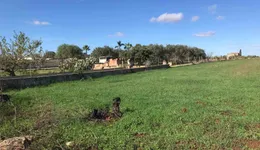 Aste giudiziarie immobiliari online - 11.0