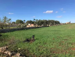 Aste giudiziarie immobiliari online - 6.0