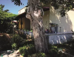 Aste giudiziarie immobiliari online - 11.0