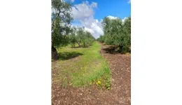 Aste giudiziarie immobiliari online - 12.0