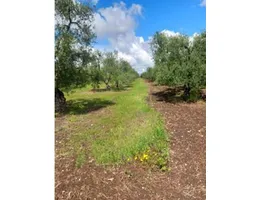 Aste giudiziarie immobiliari online - 2.0