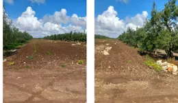 Aste giudiziarie immobiliari online - 9.0