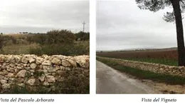 Aste giudiziarie immobiliari online - 6.0