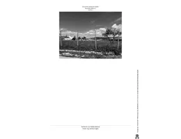 Aste giudiziarie immobiliari online - 6.0