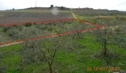 Aste giudiziarie immobiliari online - 12.0