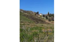 Aste giudiziarie immobiliari online - 2.0