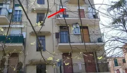 Aste giudiziarie immobiliari online - 3.0