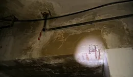 Aste giudiziarie immobiliari online - 11.0