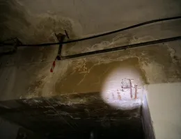 Aste giudiziarie immobiliari online - 11.0