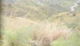 Aste giudiziarie immobiliari online - 8.0