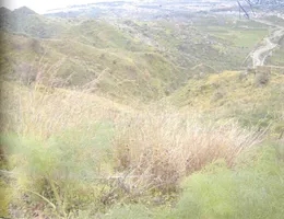 Aste giudiziarie immobiliari online - 8.0