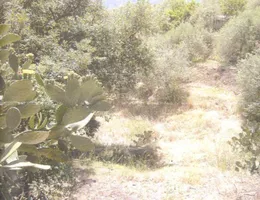 Aste giudiziarie immobiliari online - 5.0