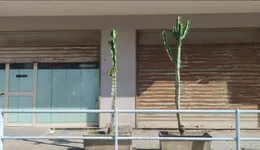 Aste giudiziarie immobiliari online - 2.0