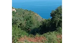 Aste giudiziarie immobiliari online - 2.0