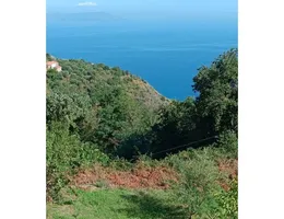Aste giudiziarie immobiliari online - 12.0