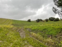 Aste giudiziarie immobiliari online - 5.0