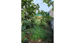 Aste giudiziarie immobiliari online - 6.0