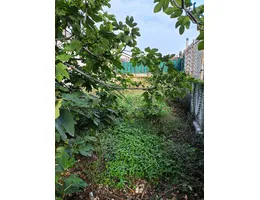 Aste giudiziarie immobiliari online - 6.0
