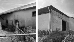 Aste giudiziarie immobiliari online - 10.0