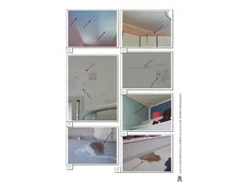 Aste giudiziarie immobiliari online - 4.0