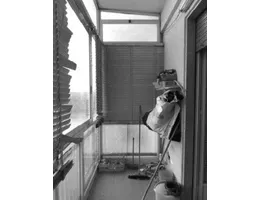 Aste giudiziarie immobiliari online - 8.0