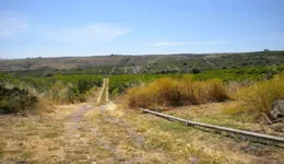 Aste giudiziarie immobiliari online - 11.0