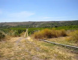 Aste giudiziarie immobiliari online - 4.0