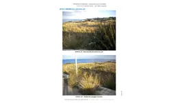 Aste giudiziarie immobiliari online - 12.0