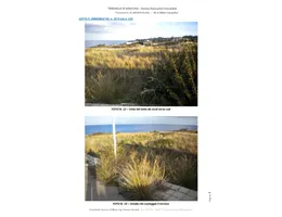 Aste giudiziarie immobiliari online - 12.0