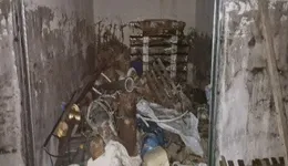 Aste giudiziarie immobiliari online - 10.0