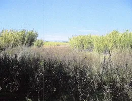 Aste giudiziarie immobiliari online - 3.0